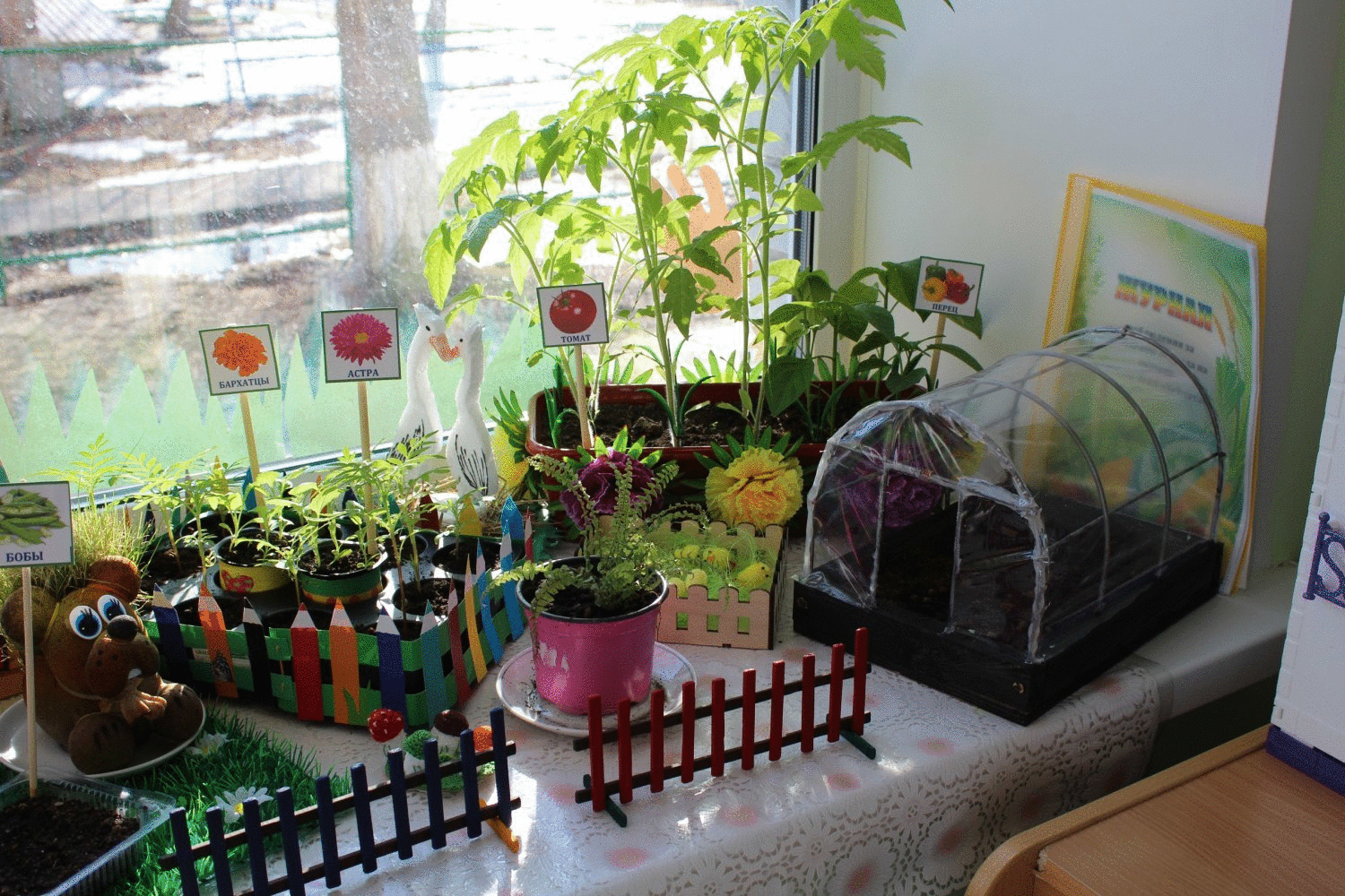 Огород на окне. Огород на окне в детском саду. Огород на подоконнике в детском. Мини огород в ДОУ на подоконнике.